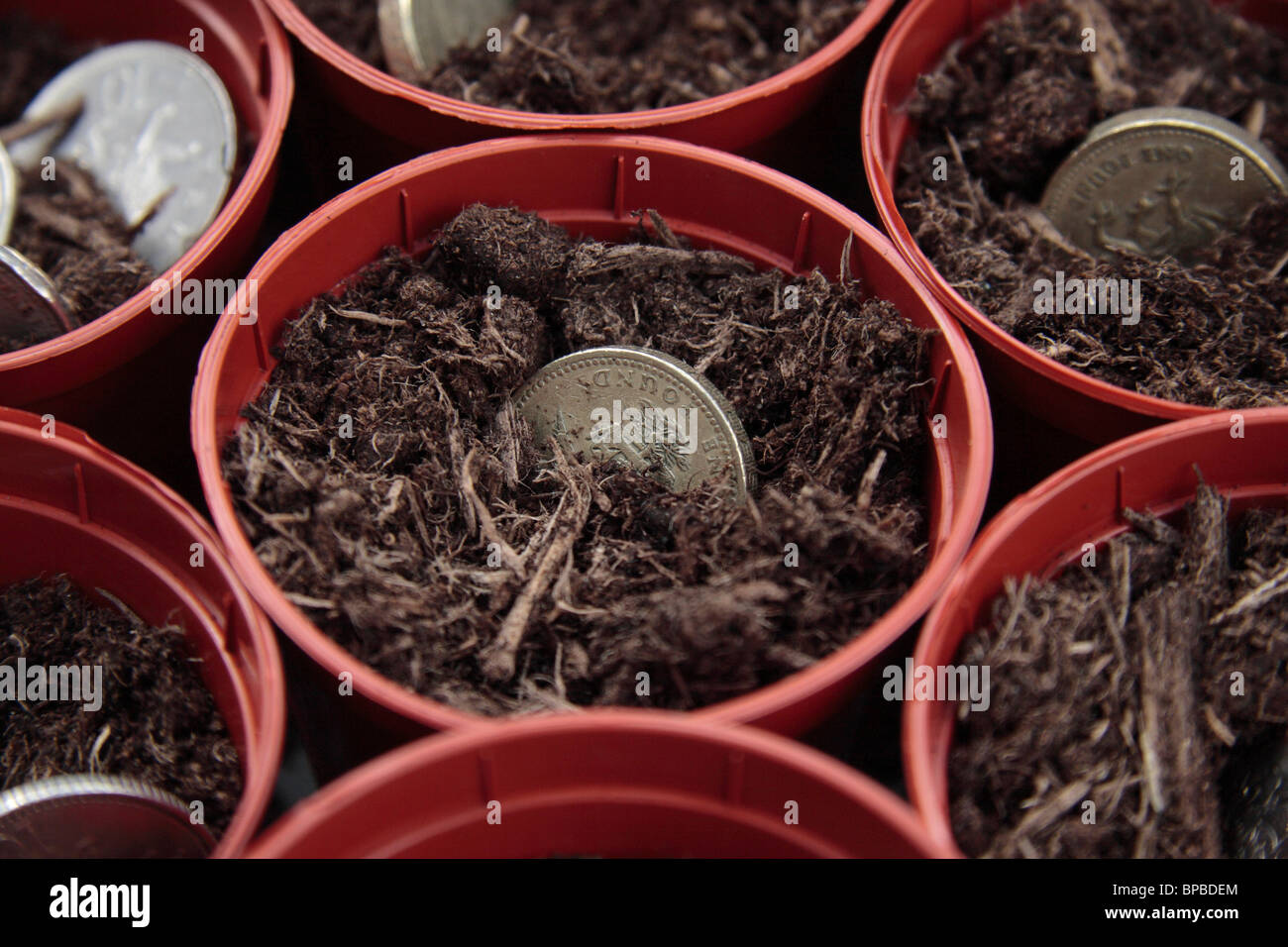 British monete 'crescita' in vasi per piante. Foto Stock