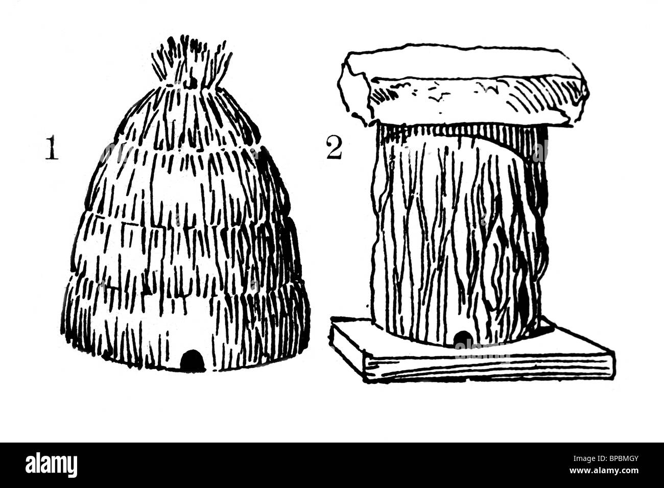 Vecchio alveari (realizzato da paglia e corteccia di sughero). Illustrazione di antiquariato. 1900. Foto Stock