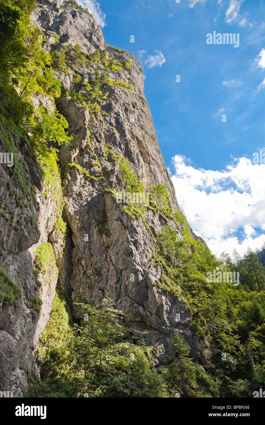 Paesaggio estivo di Bicaz Canyon in Romania. Foto Stock