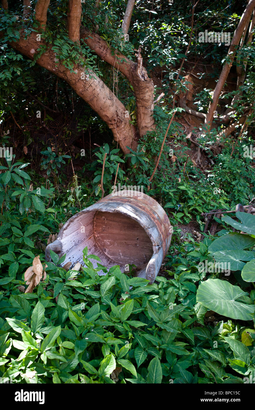 Hong Kong, Tradizionale secchio di legno in un orto in basso in modo Shing sull Isola di Lamma. Foto Stock
