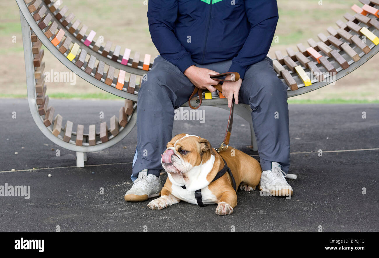 Un Bulldog Inglese e il suo proprietario a sedersi in un rifugio sul lungomare che forma parte della Gran Bretagna il lungo sedile. Foto di James Boardman. Foto Stock