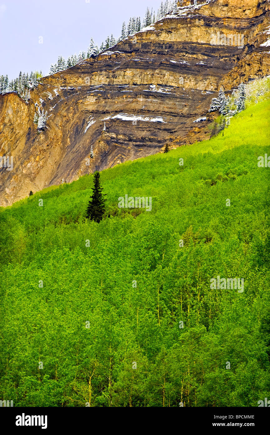 Un paesaggio di primavera Foto Stock