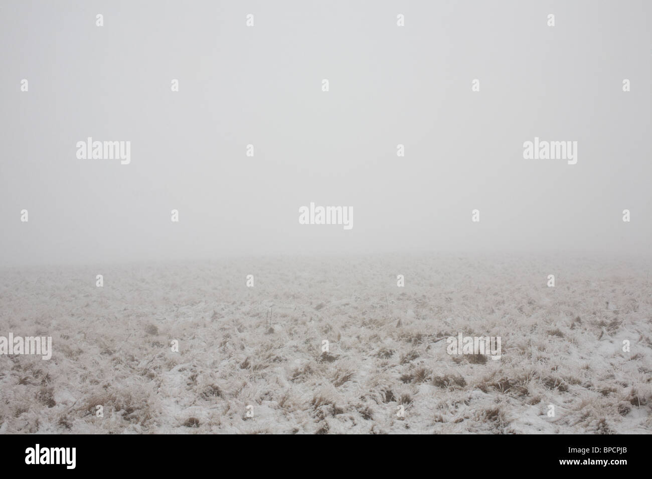 Una nebbia scena di neve Peak District UK Foto Stock