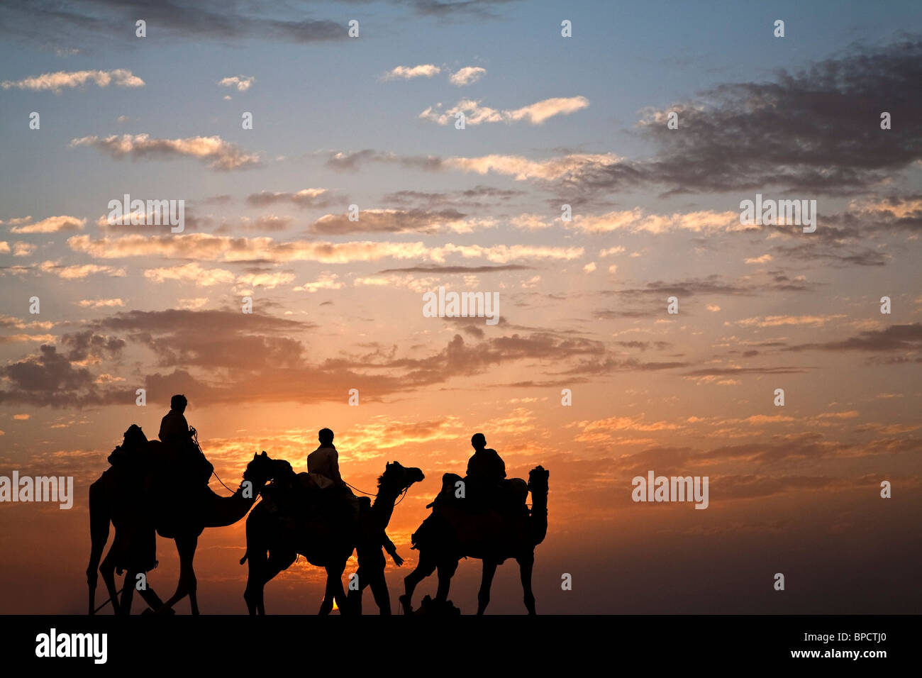 Cammelli caravan. Deserto di Thar. Il Rajasthan. India Foto Stock