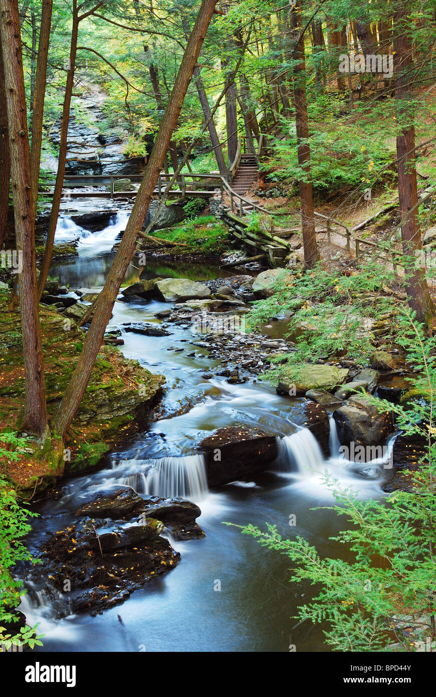Forest Creek con ponte di legno e il sentiero nel bosco in autunno con rocce e fogliame. Foto Stock