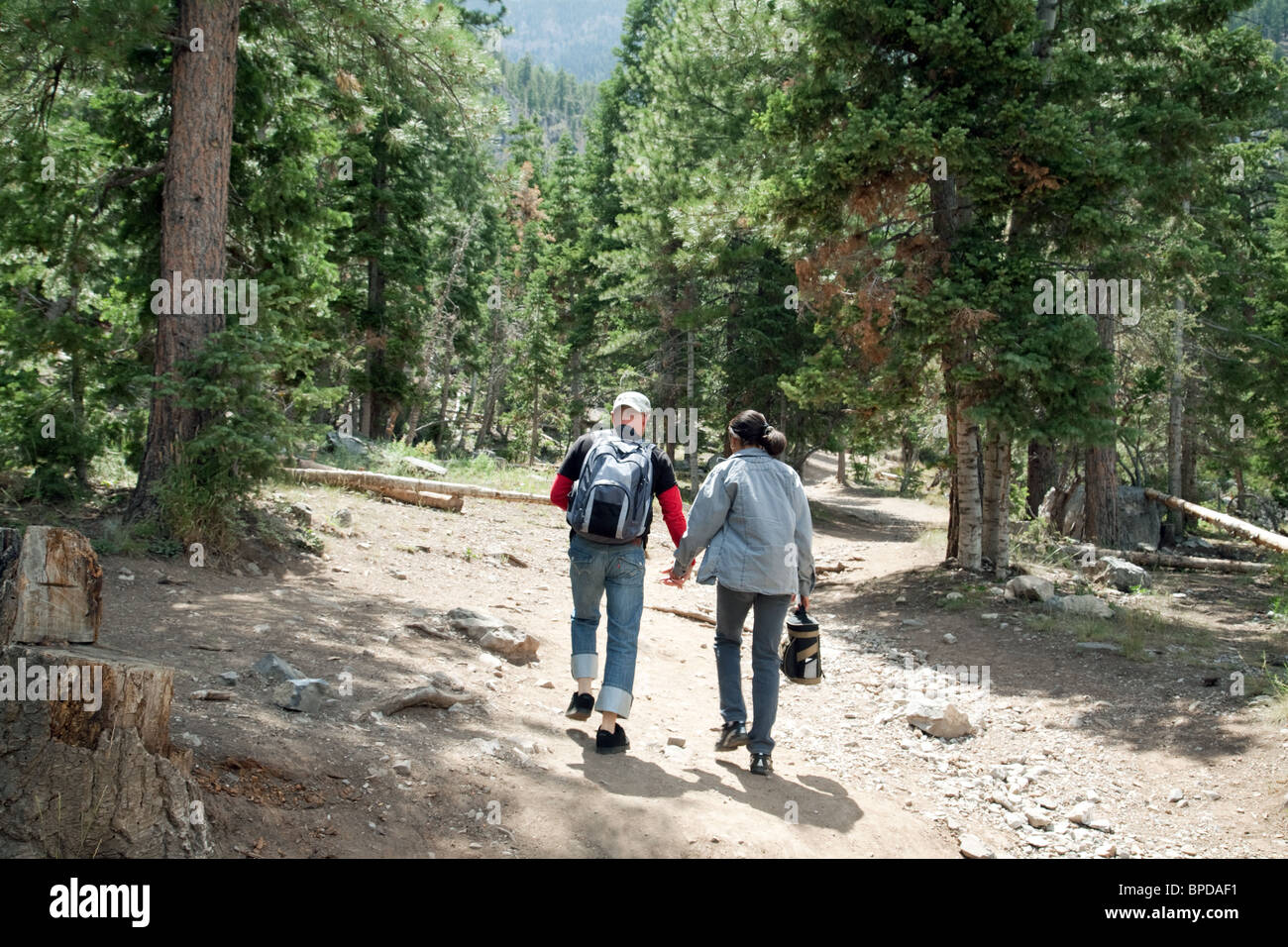 Un giovane a piedi nei boschi, Mt Charleston vicino a Las Vegas, Nevada, STATI UNITI D'AMERICA Foto Stock