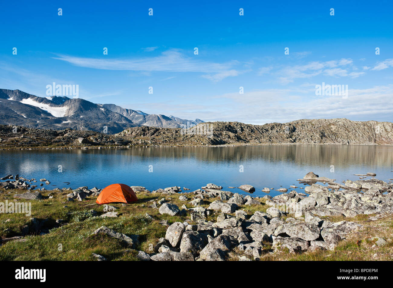 Backpacking tende campeggio sulle rive del lago Blørnbøljønne sul sentiero Besseggen, parco nazionale di Jotunheimen, Norvegia Foto Stock