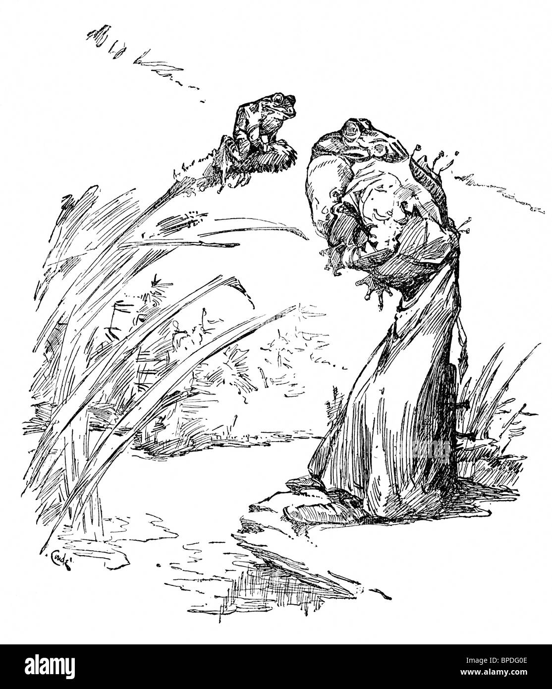 J.M. Conde, nel 1905, ha illustrato i racconti del leggendario fablist greco Esopo, compresa la storia del bue e la rana. Foto Stock