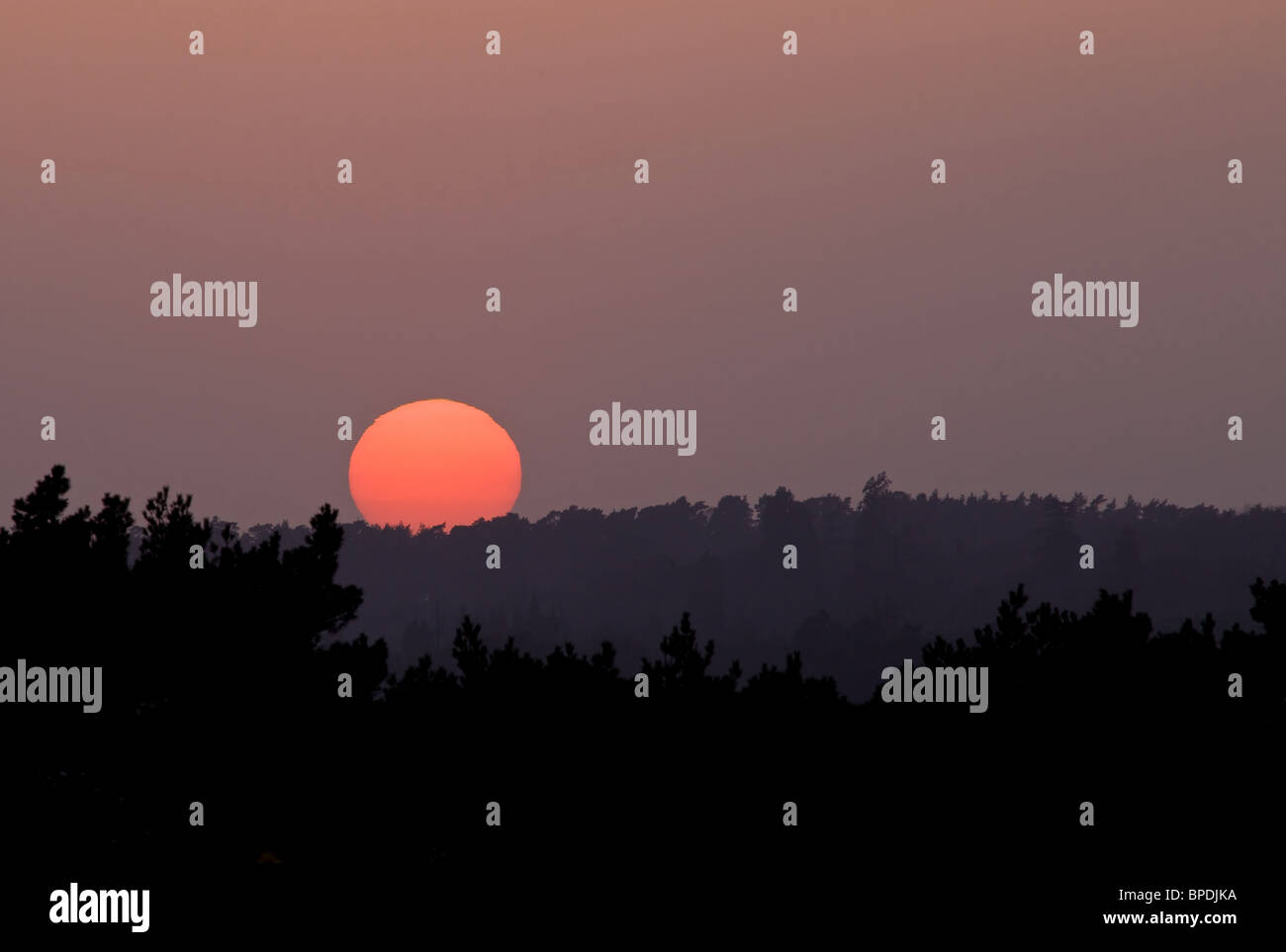 Tramonto di Ashdown Foto Stock