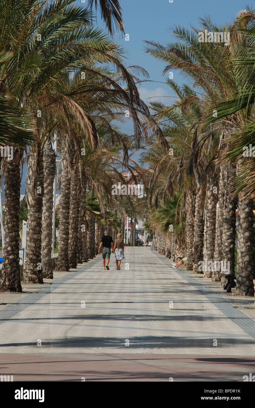 Lungomare fiancheggiata da palme, Lagos, le città di Algarrobo Costa, Costa del Sol, provincia di Malaga, Andalusia, Spagna, Europa occidentale. Foto Stock