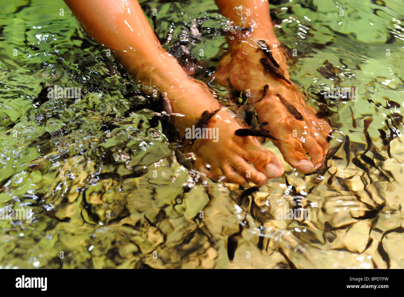 Tourist gustando pesce pedicure in un negozio in Kuta Bali Foto Stock