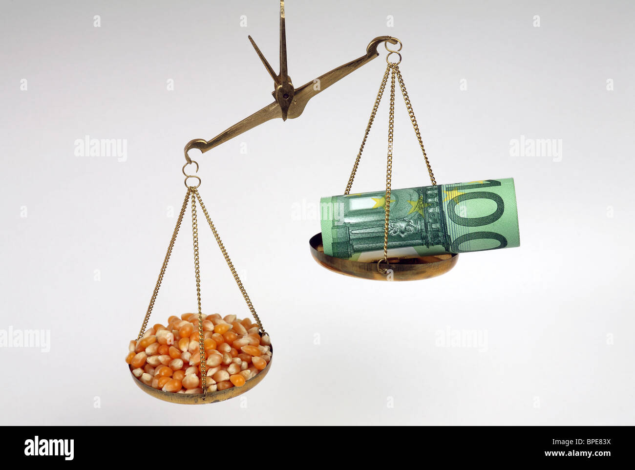 Maggiore premio di mais Foto Stock