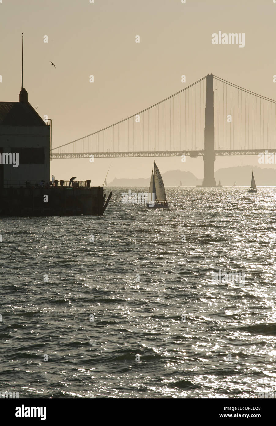 Stati Uniti, California, San Francisco Golden Gate Bridge, barche a vela sulla Baia di San Francisco, pier a Fort Mason, gabbiani, fisherman Foto Stock