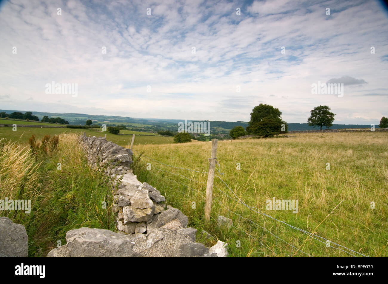 Asciugare la parete di pietra e filo spinato e un campo nel Derbyshire Peak District. Alberi nel paesaggio e la nuvola nel cielo blu Foto Stock