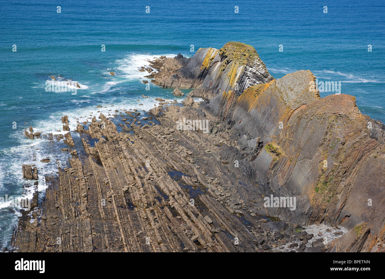 Piega anticlinale di Gull Rock promontorio di formatura in Atlantico circondato da eroso piattaforma costiera di falde verticali vicino a Morwenstow Foto Stock