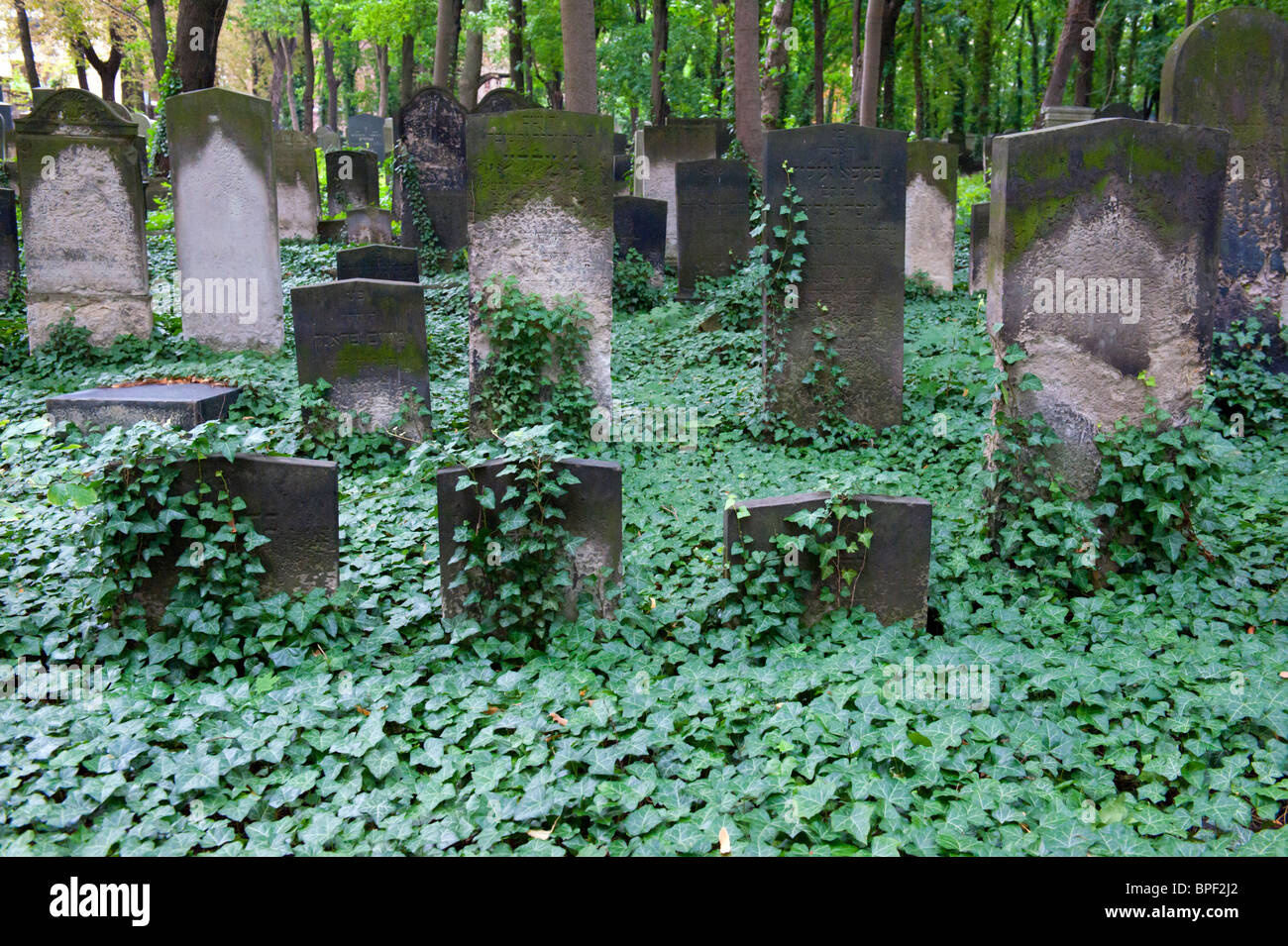 Vecchie lapidi nel vecchio cimitero ebraico in Prenzlauer Berg di Berlino Germania Foto Stock