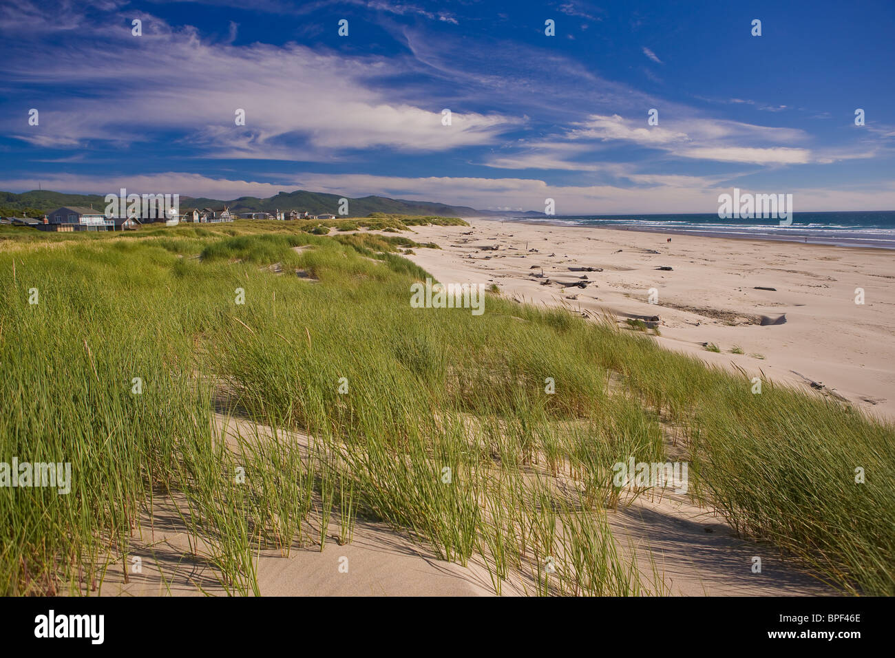 MANZANITA, OREGON, Stati Uniti d'America - le dune di sabbia, erbe e la spiaggia sulla costa dell'Oregon. Foto Stock