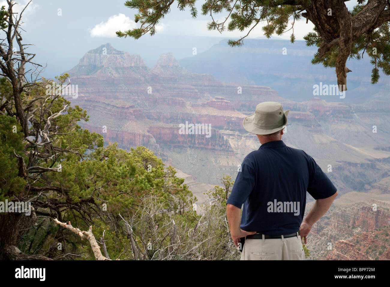 Un uomo che guarda il Grand Canyon da Bright Angel Point, North Rim, Arizona USA Foto Stock