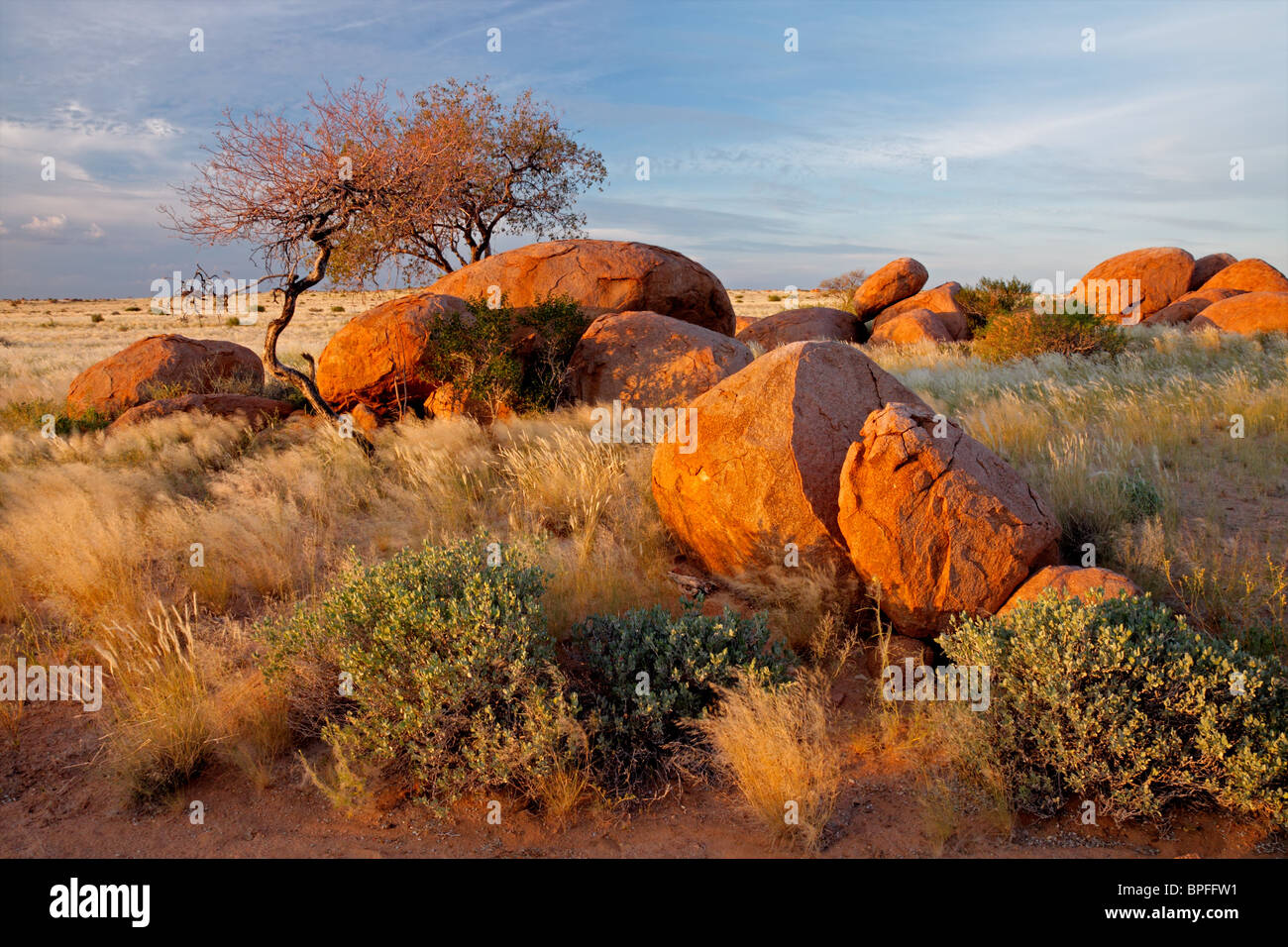 Paesaggio con massi di granito, alberi e cielo blu, Namibia, Sud Africa Foto Stock