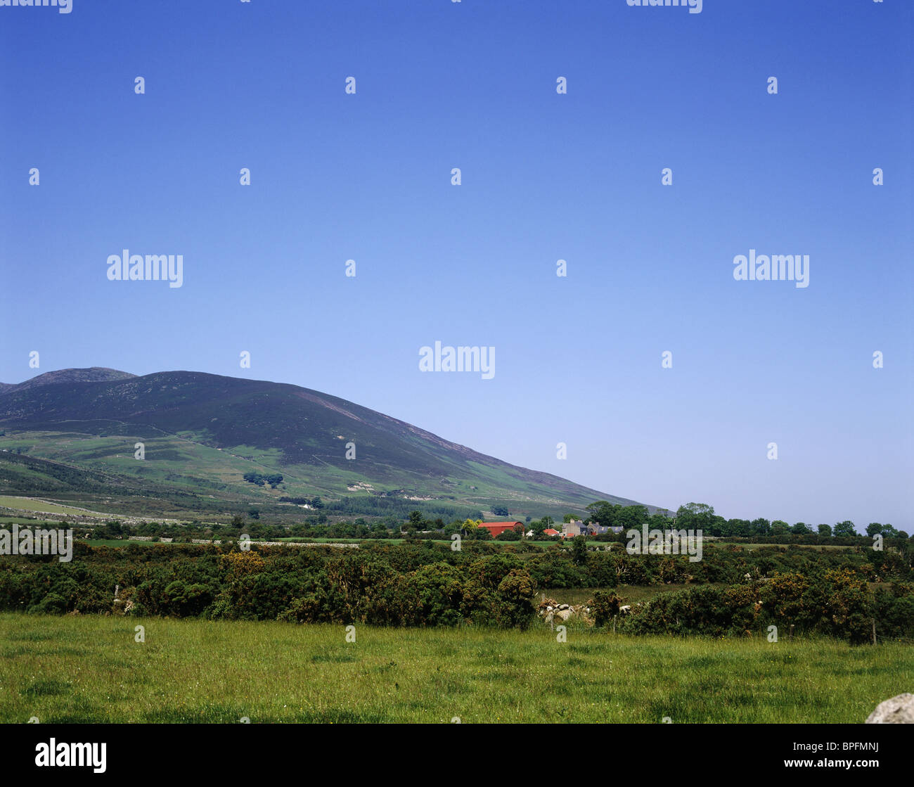 Mourne Mountains, Co. Down, Irlanda del Nord Foto Stock