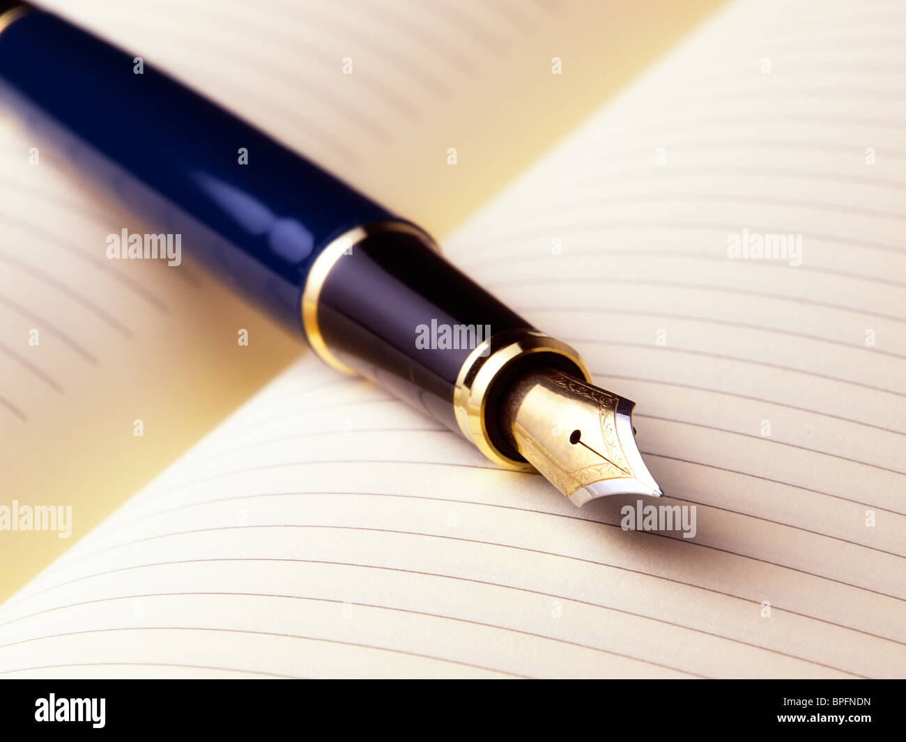 Penna stilografica su una pagina vuota aperta su un diario libro... Foto Stock