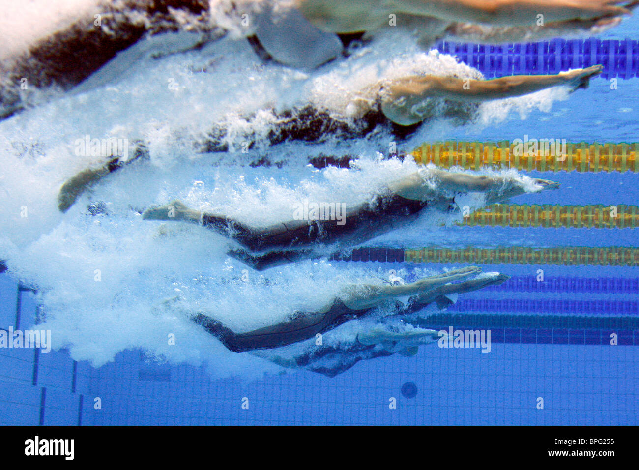 Vista subacquea di donne a 100 metri di freestyle calore nel Cubo Acqua piscina presso i Giochi Paralimpici a Pechino in Cina Foto Stock