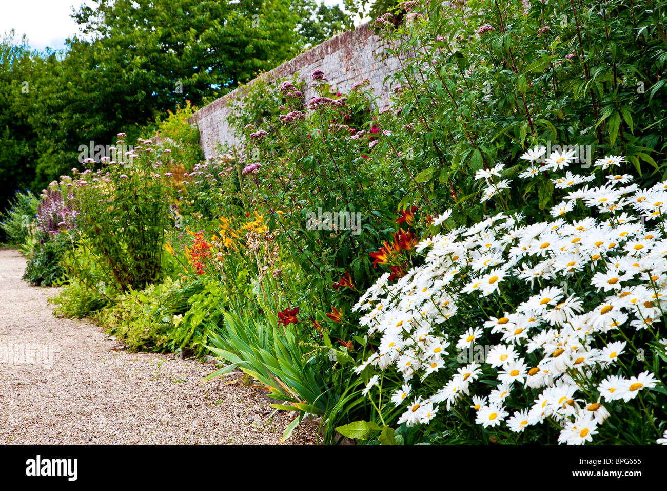 Piante erbacee perenni confine di fiori d'estate in una cinta muraria English country garden in Berkshire, Inghilterra, Regno Unito Foto Stock