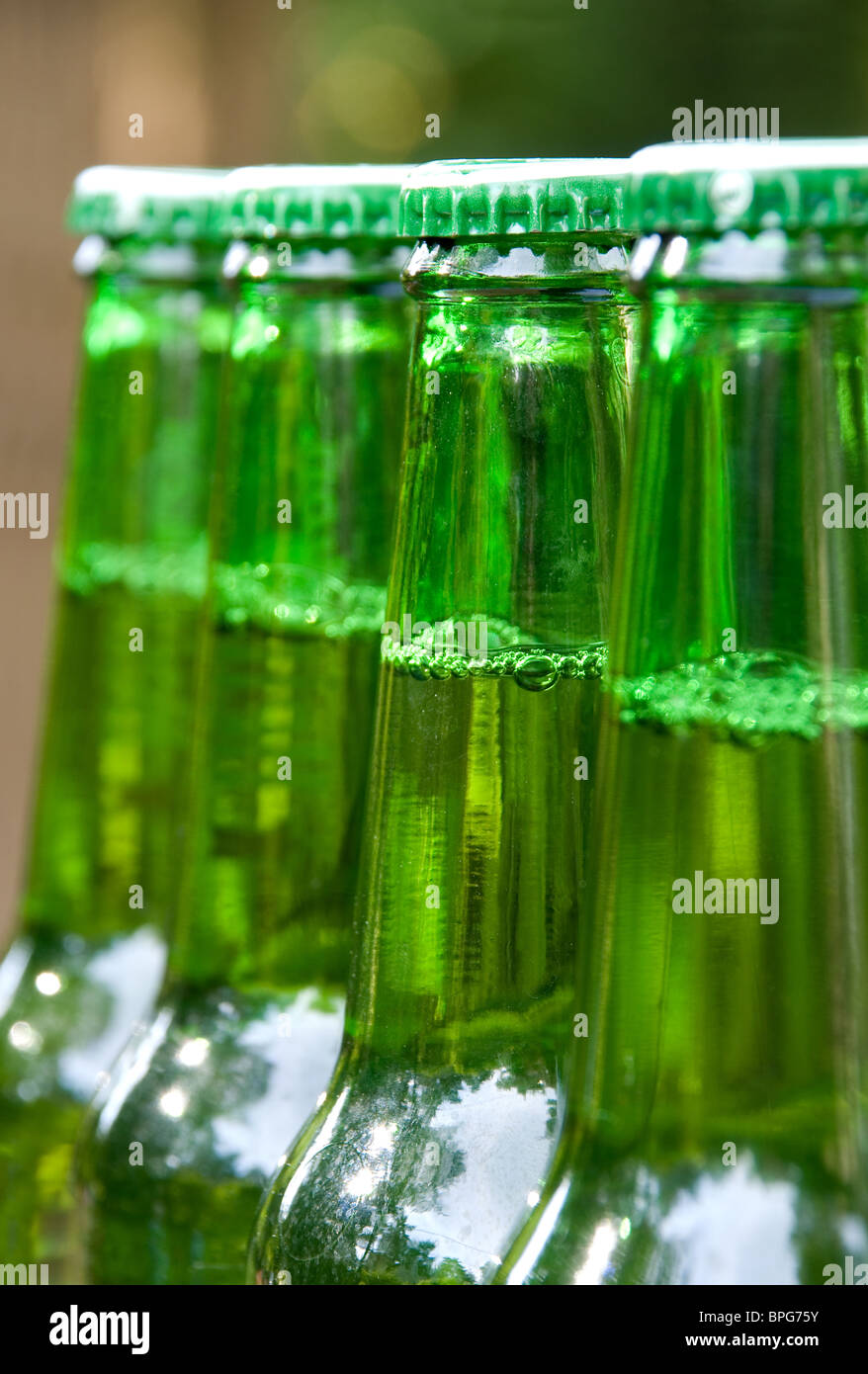 Fila di verde le bottiglie di birra non aperto Foto Stock