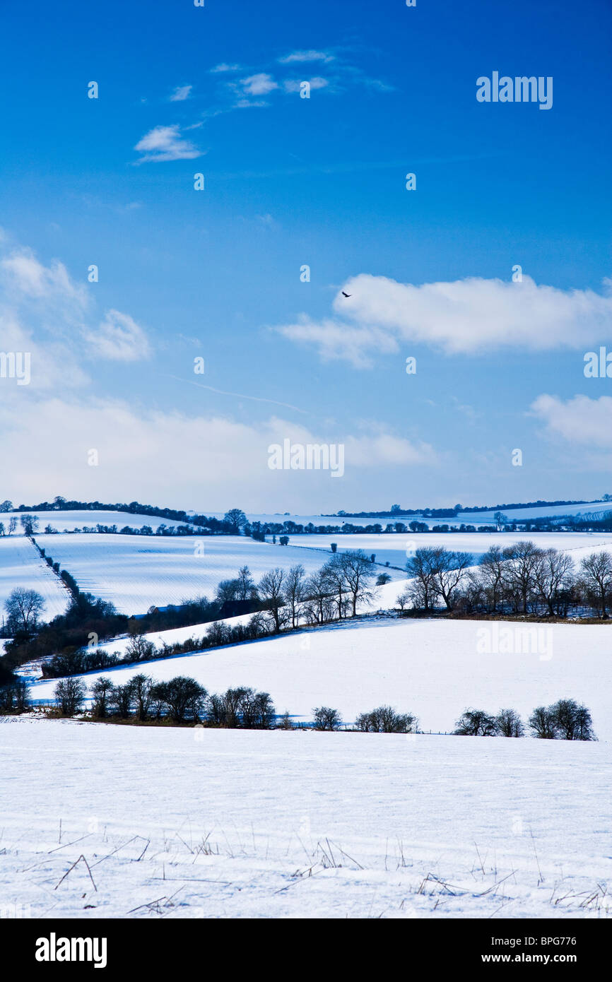 Un soleggiato,nevoso inverno,vista orizzontale o di scena sul Downs nel Wiltshire, Inghilterra, Regno Unito Foto Stock