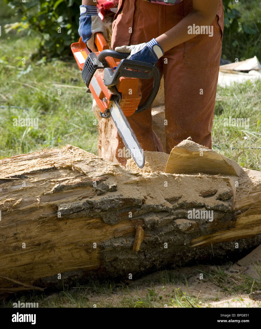 Lavoratore con sega a catena per tagliare la scultura in legno Foto Stock