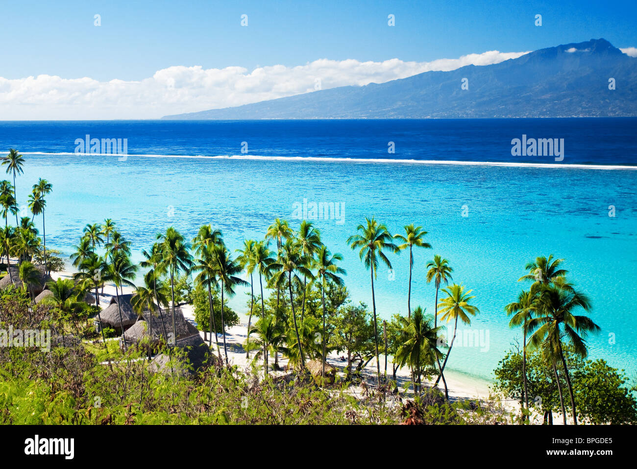Palme sulla laguna tropicale spiaggia di Tahiti Foto Stock