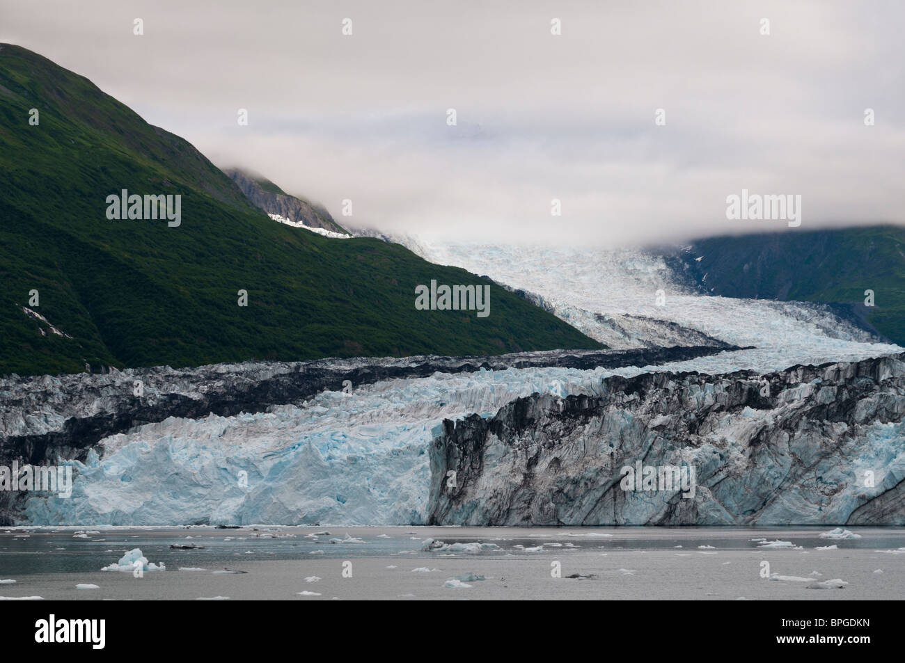 Il ghiacciaio di Harvard, College Fjord, Prince William Sound, Alaska. Foto Stock