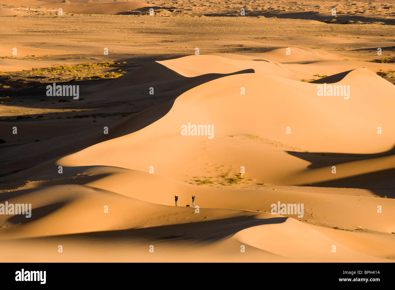 Khongoryn Els dune di sabbia nel sud del deserto dei Gobi Mongolia inverno Foto Stock