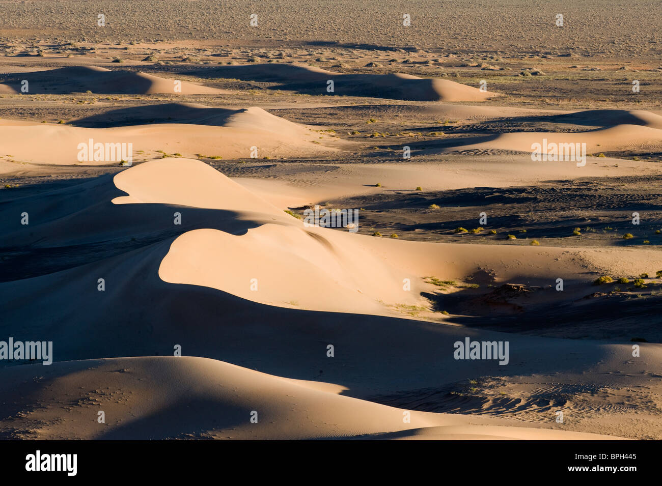 Khongoryn Els dune di sabbia nel sud del deserto dei Gobi Mongolia inverno Foto Stock