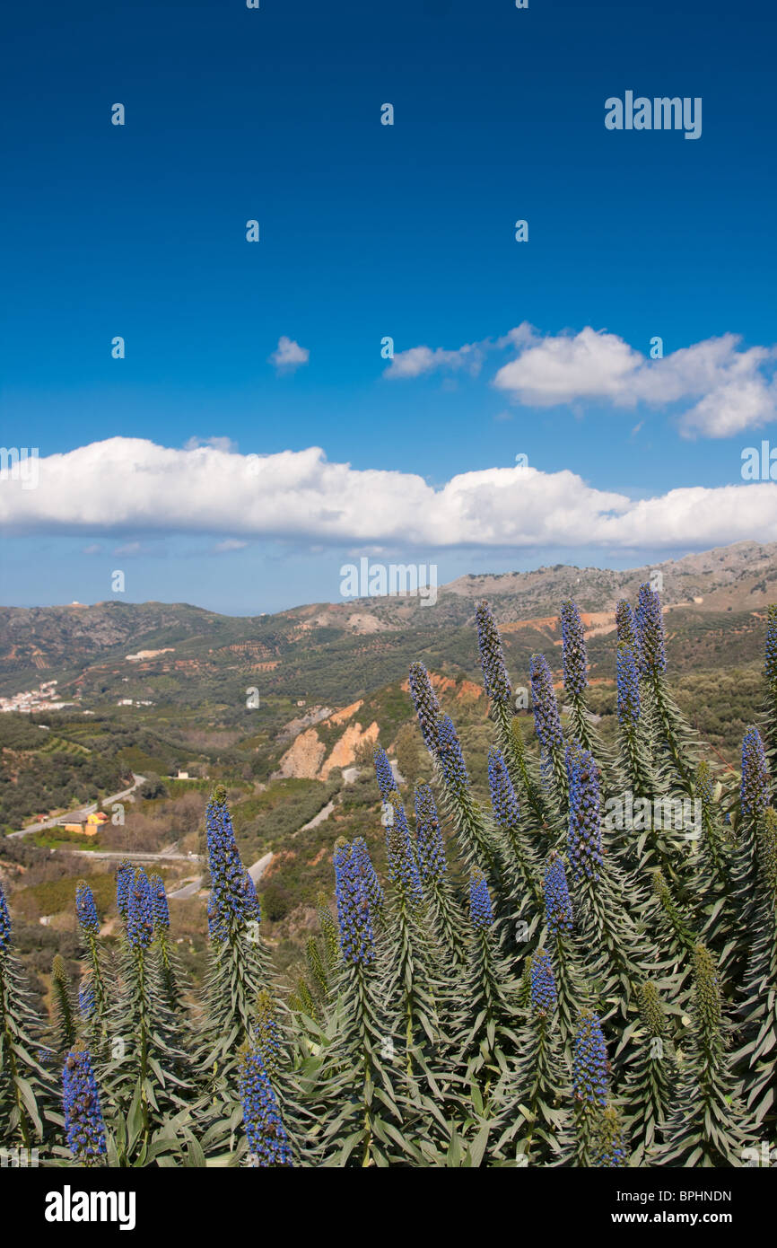 Paesaggio visto dal giardino botanico di Creta, Grecia. Foto Stock
