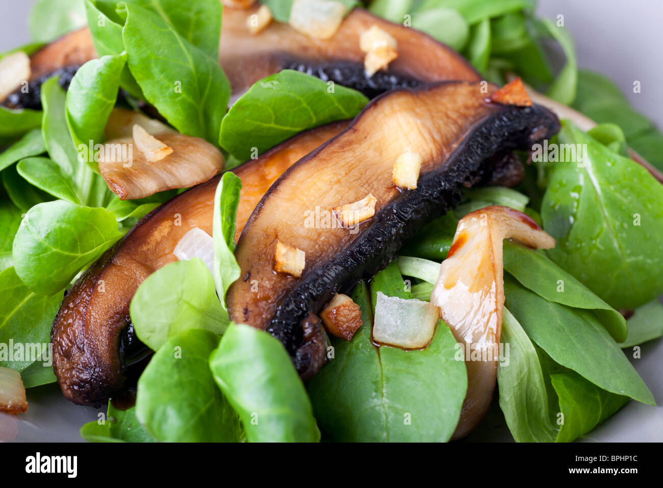 Caldo insalata di funghi su un letto di lattuga. Foto Stock