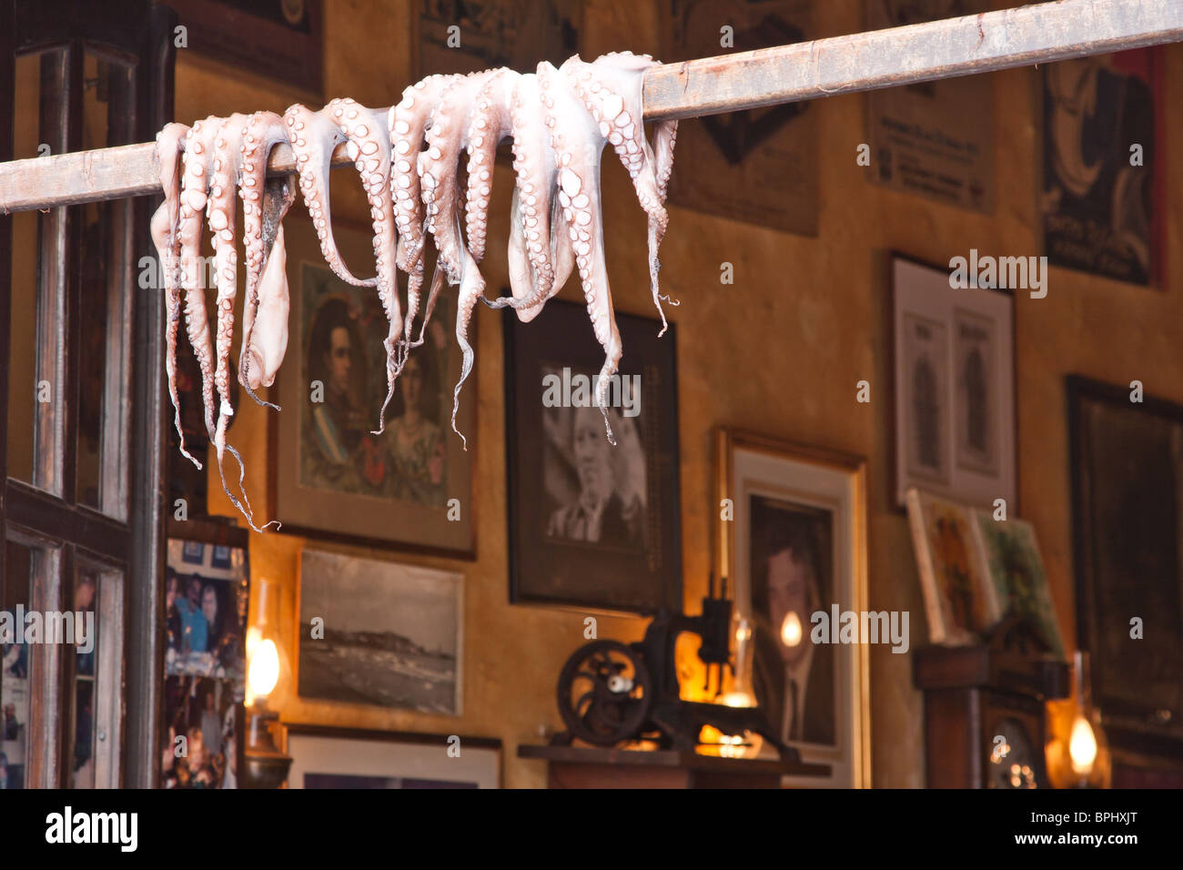 Varie il polpo su un bastone per asciugare davanti a ristoranti a Rethymno in Creta, Grecia Foto Stock
