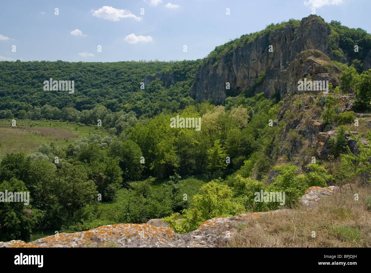 Russenski Lom Parco Naturale, un bellissimo meandro canalone, Balcani, Bulgaria Foto Stock