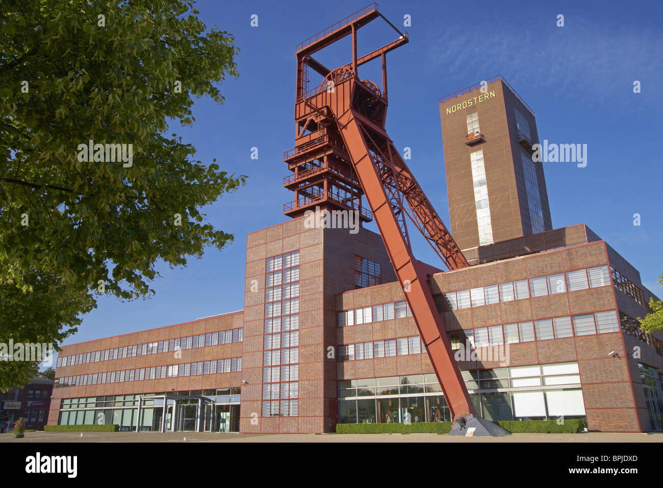 Nordstern Colliery (fino al 1993) a Gelsenkirchen-Horst, Renania settentrionale-Vestfalia, Germania, Europa Foto Stock