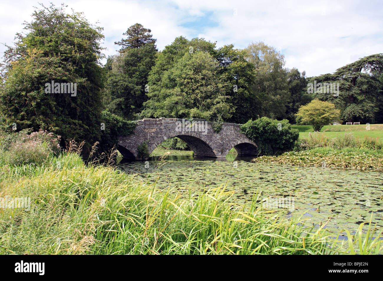 Un antico ponte in pietra a Abbazia di Waverley vicino a Farnham sul fiume Wey, Surrey England Regno Unito. Foto Stock