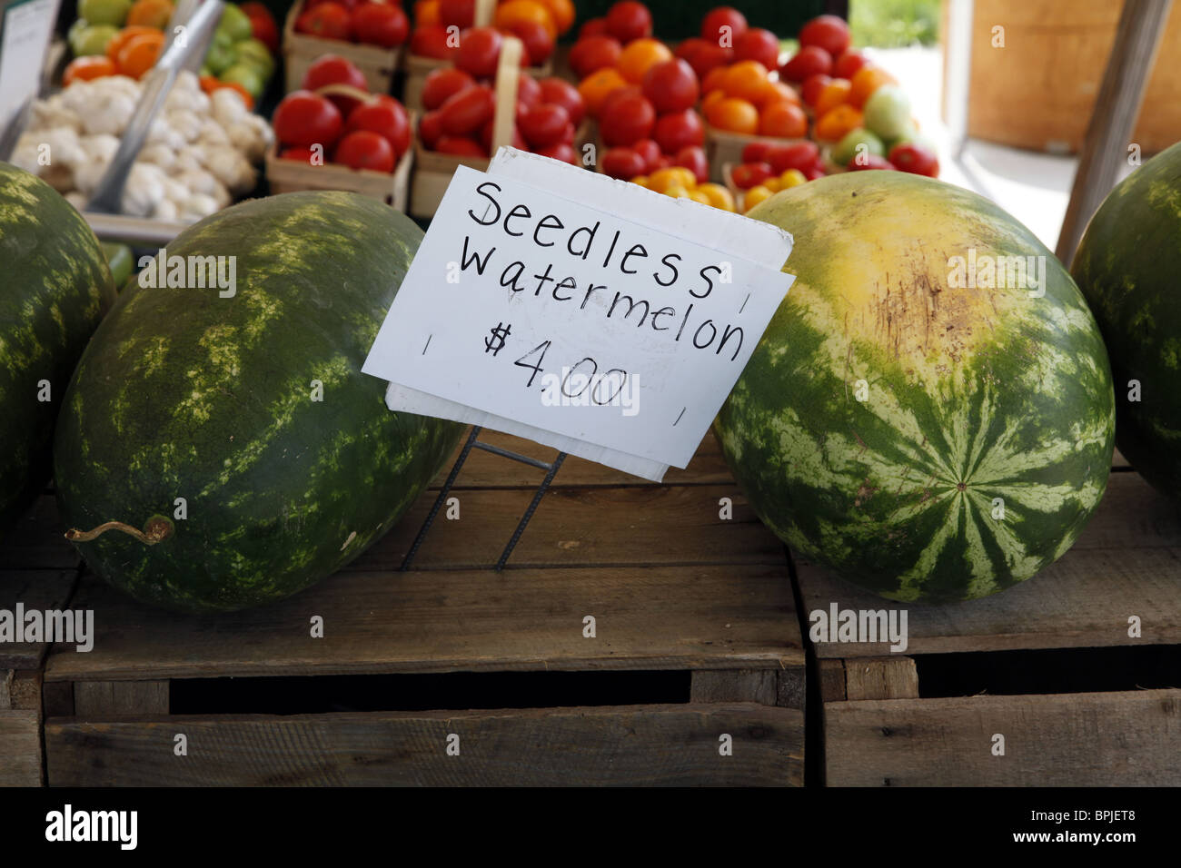 Seedless anguria. Pressione di stallo in America Foto Stock