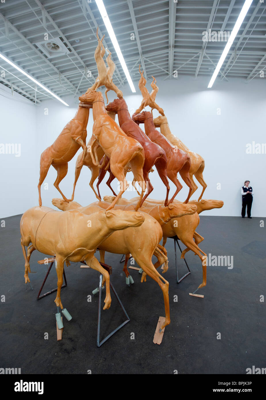 Scultura di Bruce Nauman intitolato piramide animale a Hamburger Bahnhof Museo di Arte Contemporanea a Berlino Germania Foto Stock