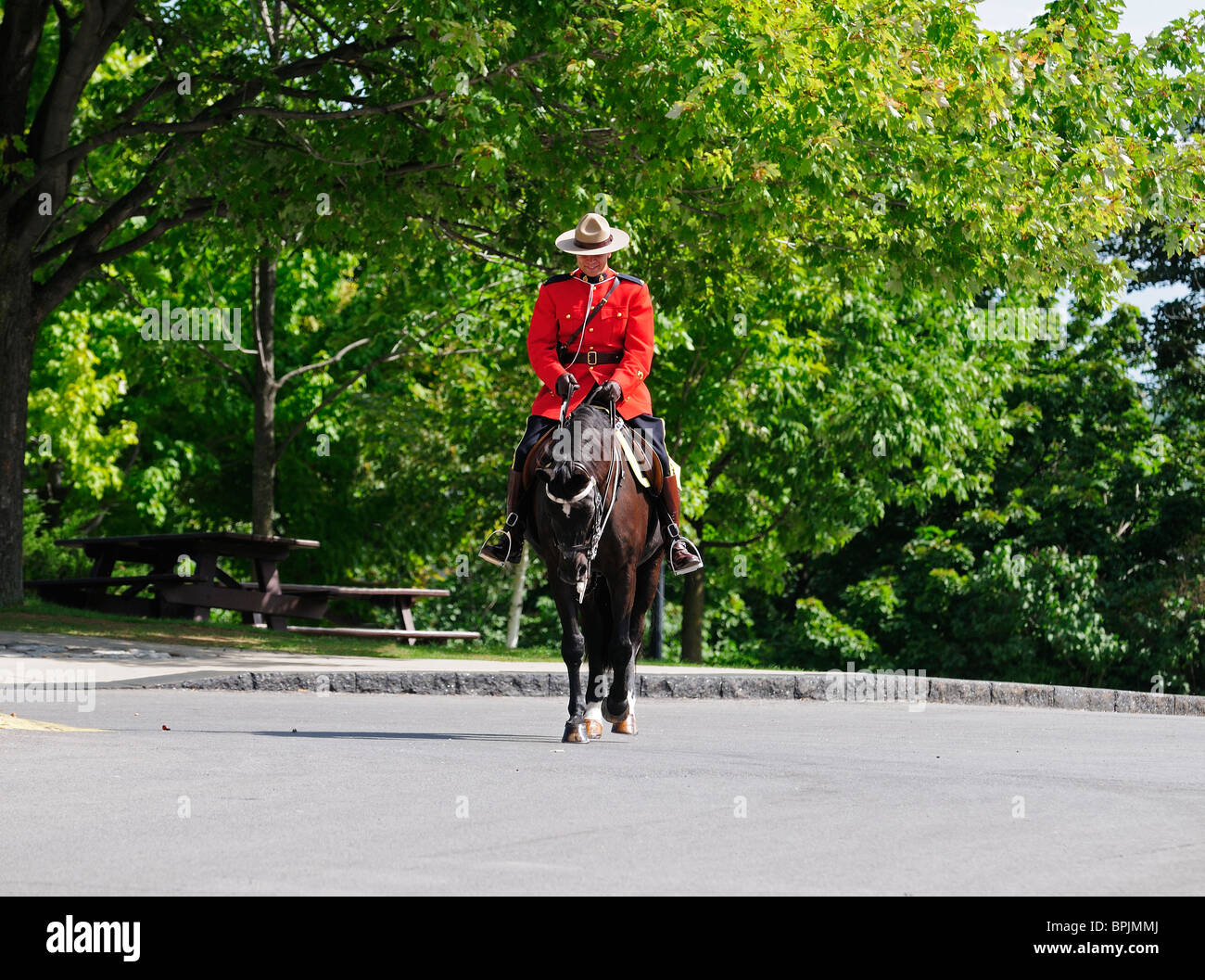 Canadian RCMP Officer in sella al suo cavallo sulla Collina del Parlamento di Ottawa in Canada Foto Stock