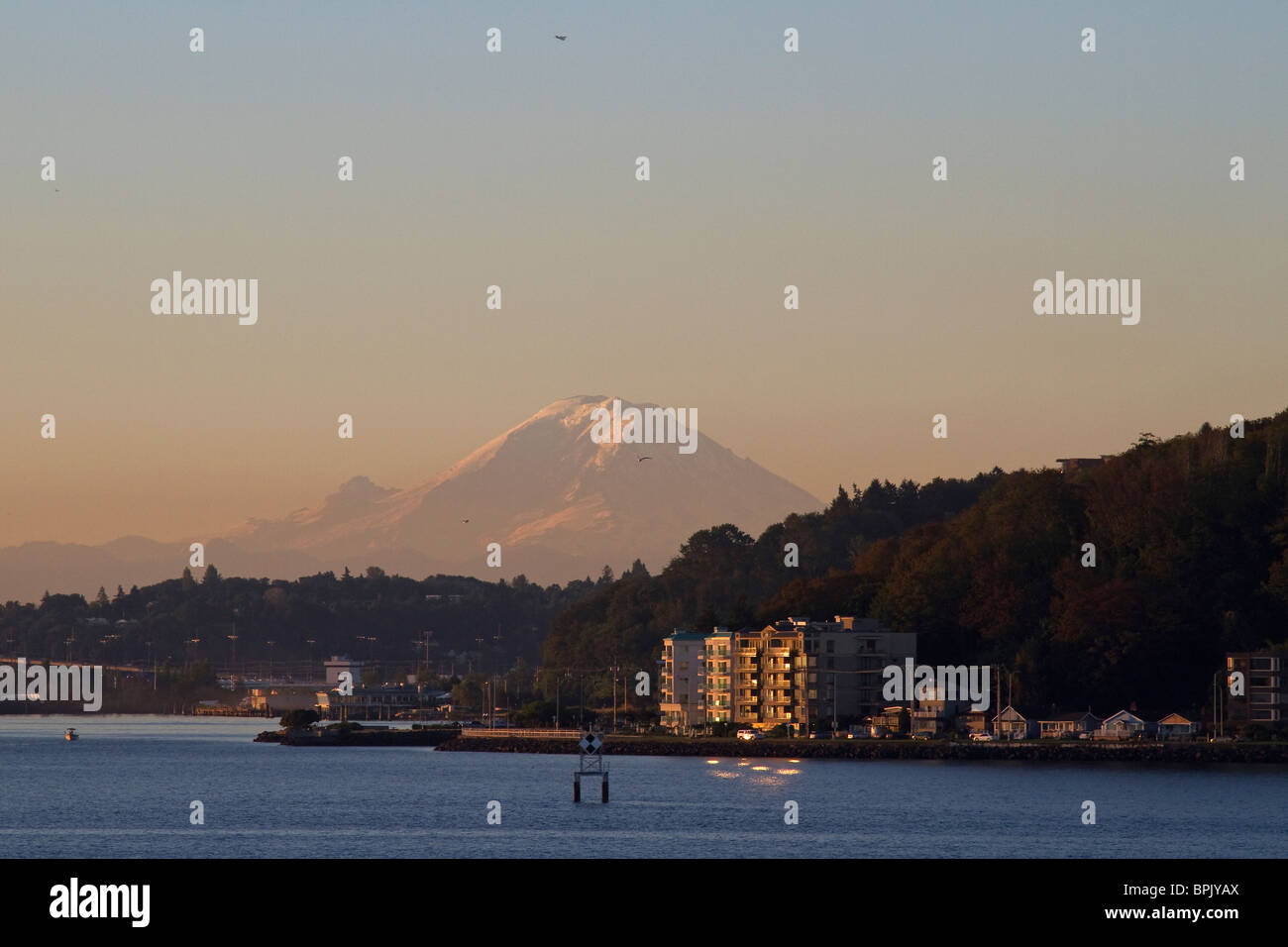 I condomini e appartamenti nella zona ovest di Seattle con il Monte Rainier, Mt. Rainier, in background durante l'alba. Foto Stock