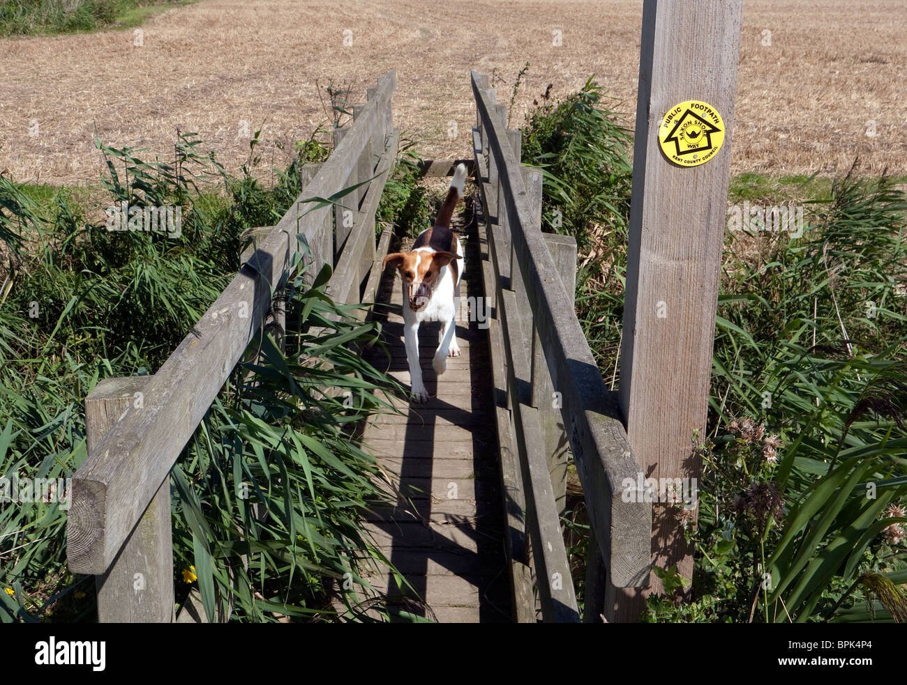 Ponte sulla sponda sassone in modo Kent REGNO UNITO Foto Stock