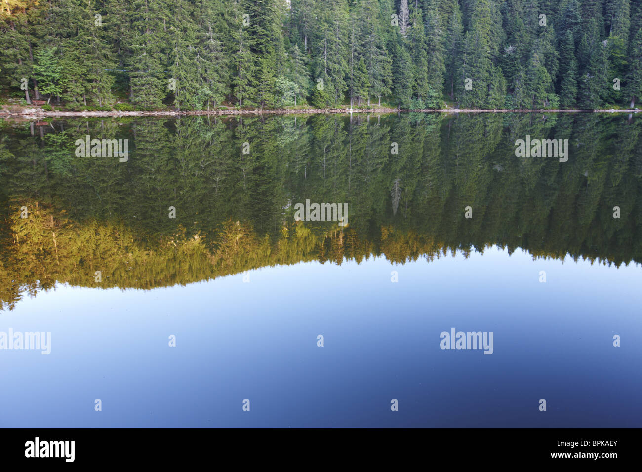 Il lago Mummelsee, Seebach, Foresta Nera, Baden-Wuerttemberg, Germania Foto Stock