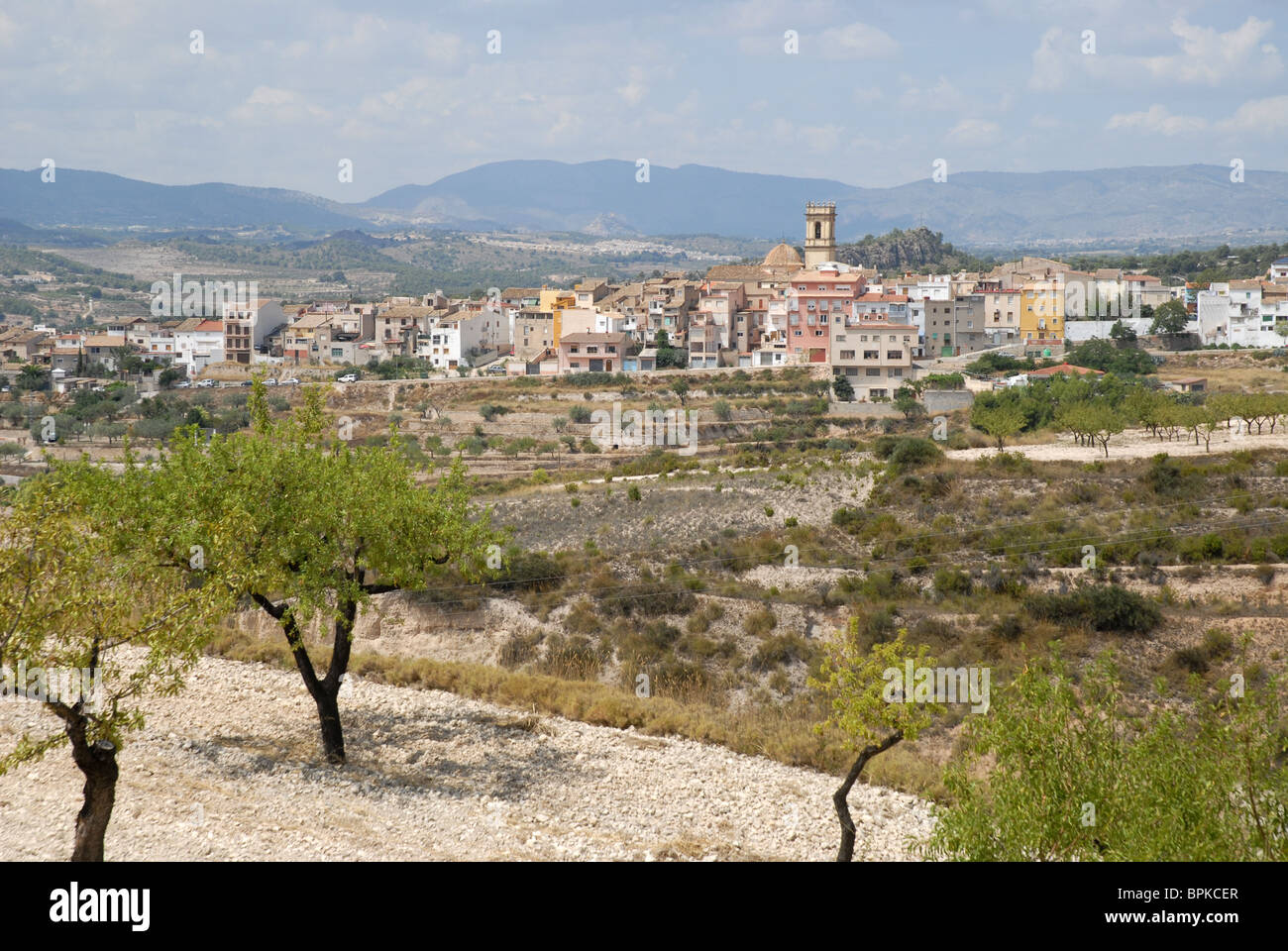 Almond orchard e la vista da Tibi, Provincia di Alicante, Comunidad Valenciana, Spagna Foto Stock