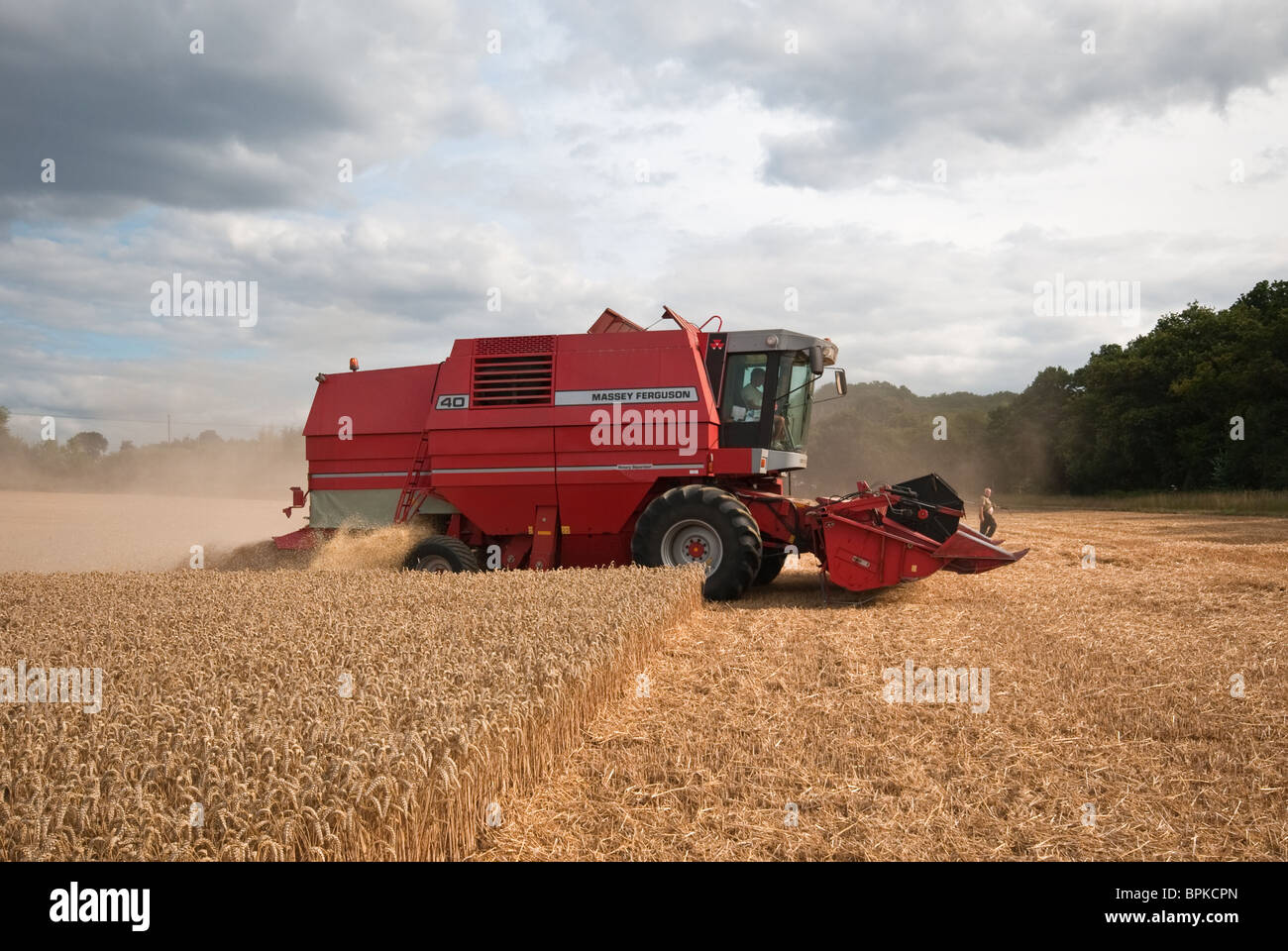 Rosso per trebbiatrice mietitrebbia Massey Ferguson Foto Stock