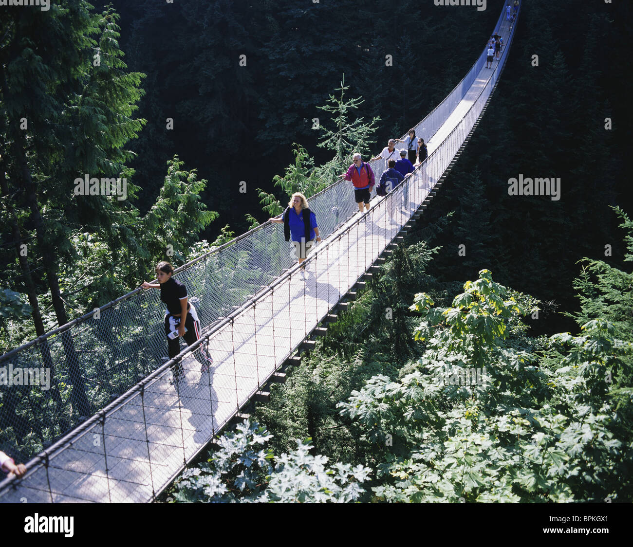 Ponte Sospeso di Capilano, Vancouver, B.C., Canada Foto Stock