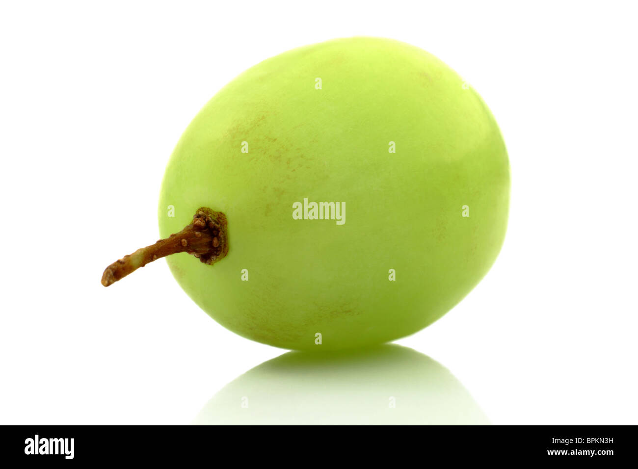 Single White seedless uva molto vicino con una riflessione su uno sfondo bianco Foto Stock